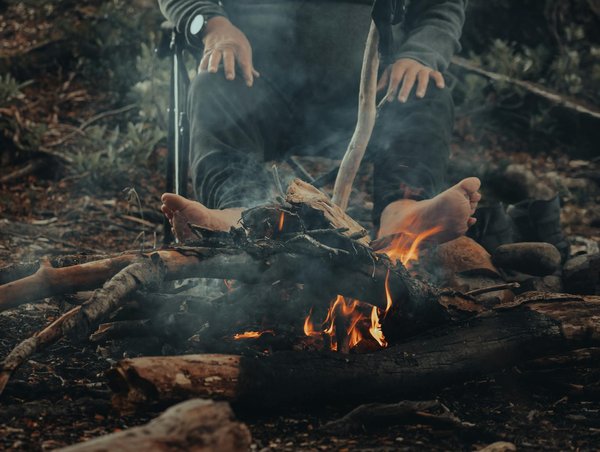 Quelles croisières proposent des excursions pour explorer les mangroves en Afrique de l'Ouest?
