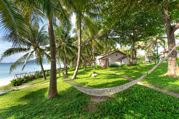 Peut-on trouver une croisière qui propose des cours de cuisine mexicaine avec des chefs locaux?